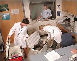 USFWS Forensics Laboratory Evidence Processing.jpg
